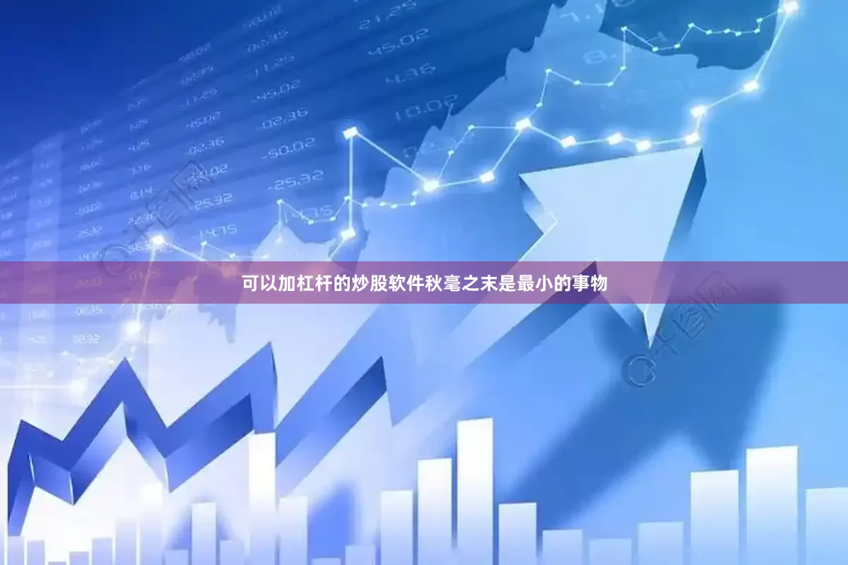 可以加杠杆的炒股软件秋毫之末是最小的事物