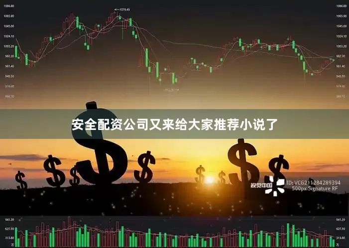 安全配资公司又来给大家推荐小说了
