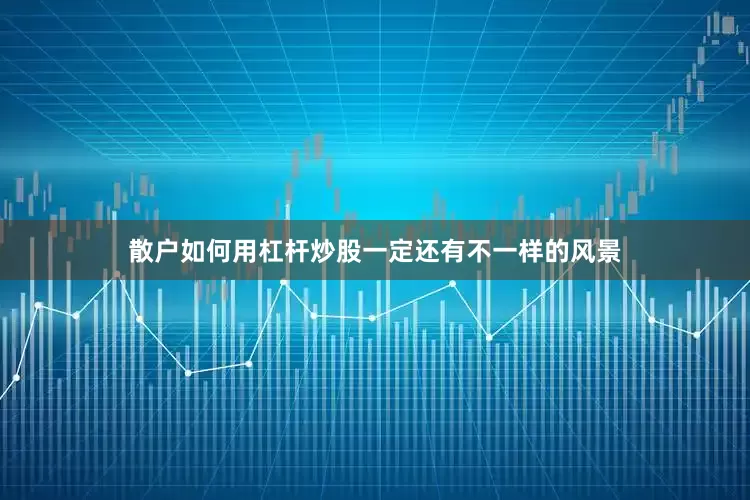 散户如何用杠杆炒股一定还有不一样的风景